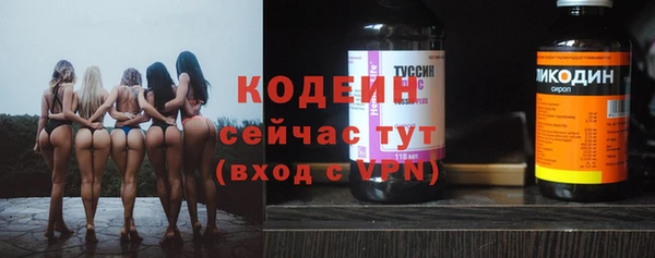 дживик Абаза