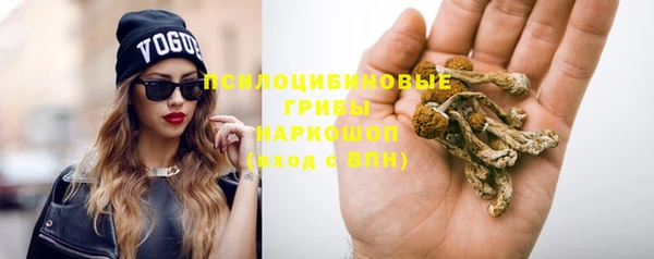 дурь Абинск