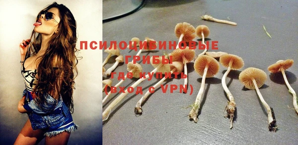 спайс Переславль-Залесский